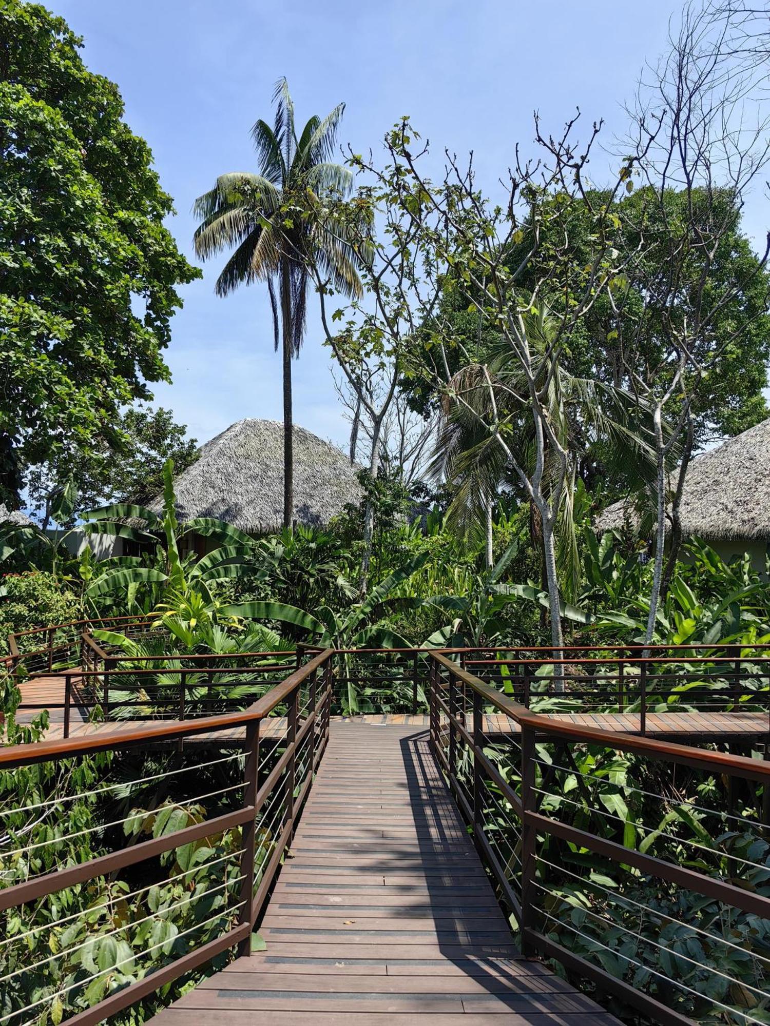 Lapa Rios Lodge By Boeena Puerto Jiménez Esterno foto