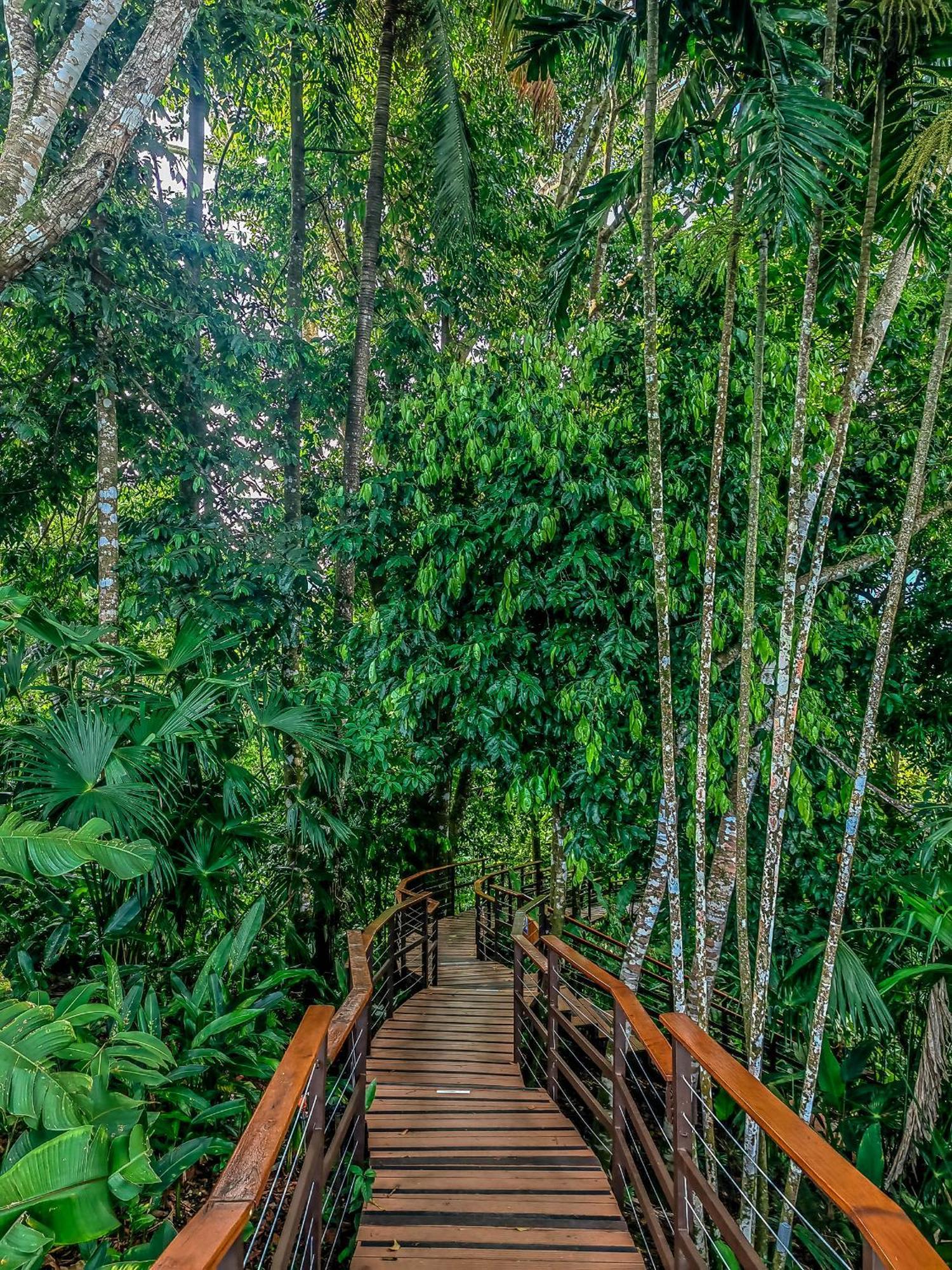 Lapa Rios Lodge By Boeena Puerto Jiménez Esterno foto